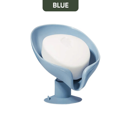 Soap Holder With Suction Cup