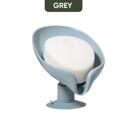 Soap Holder With Suction Cup
