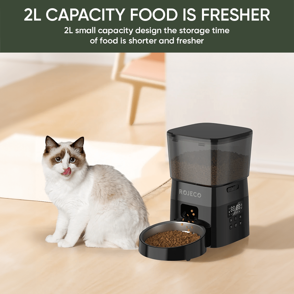 3L Automatic Pet Feeder Button Version Auto Cat Food Dispenser