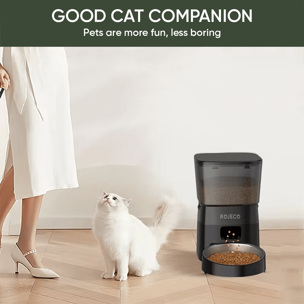 3L Automatic Pet Feeder Button Version Auto Cat Food Dispenser