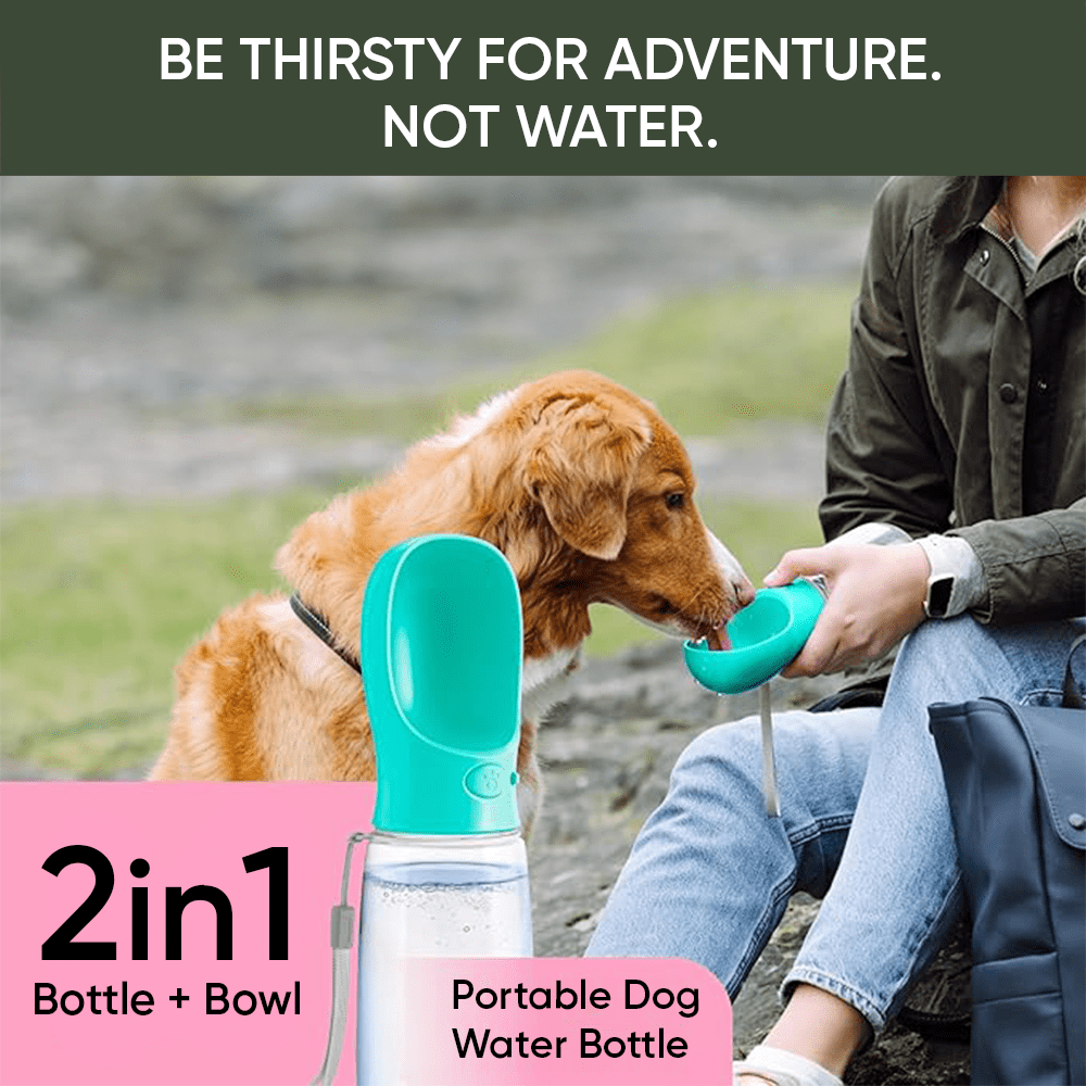 Portable Dog Water Bottle