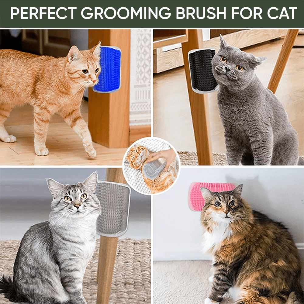 Cat Scratcher Brush Massage