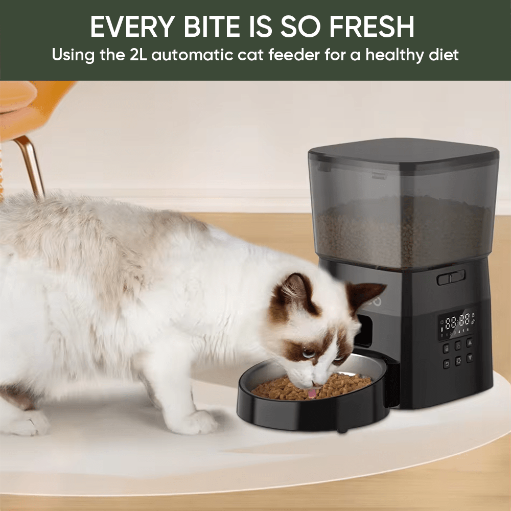 3L Automatic Pet Feeder Button Version Auto Cat Food Dispenser