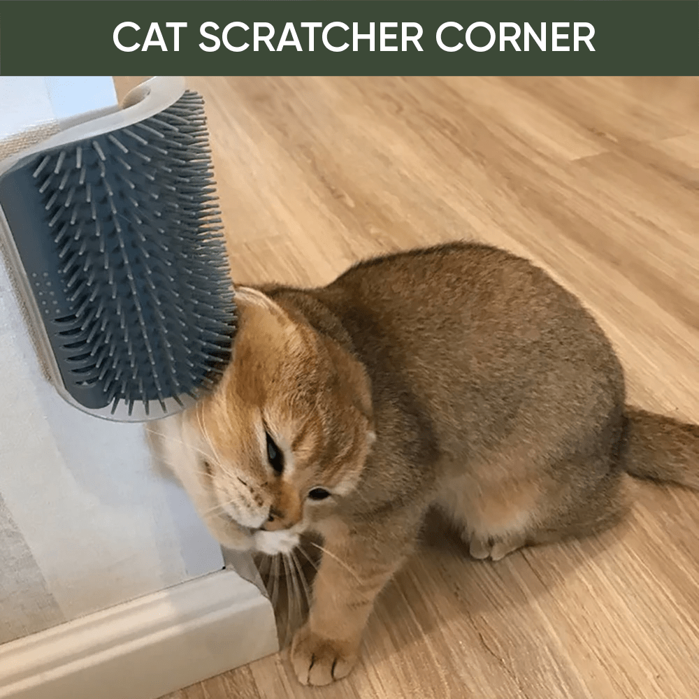 Cat Scratcher Brush Massage