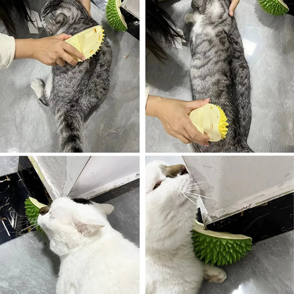 Cat Scratcher Brush Massage