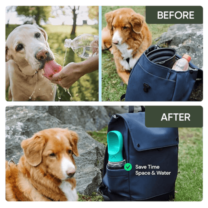 Portable Dog Water Bottle