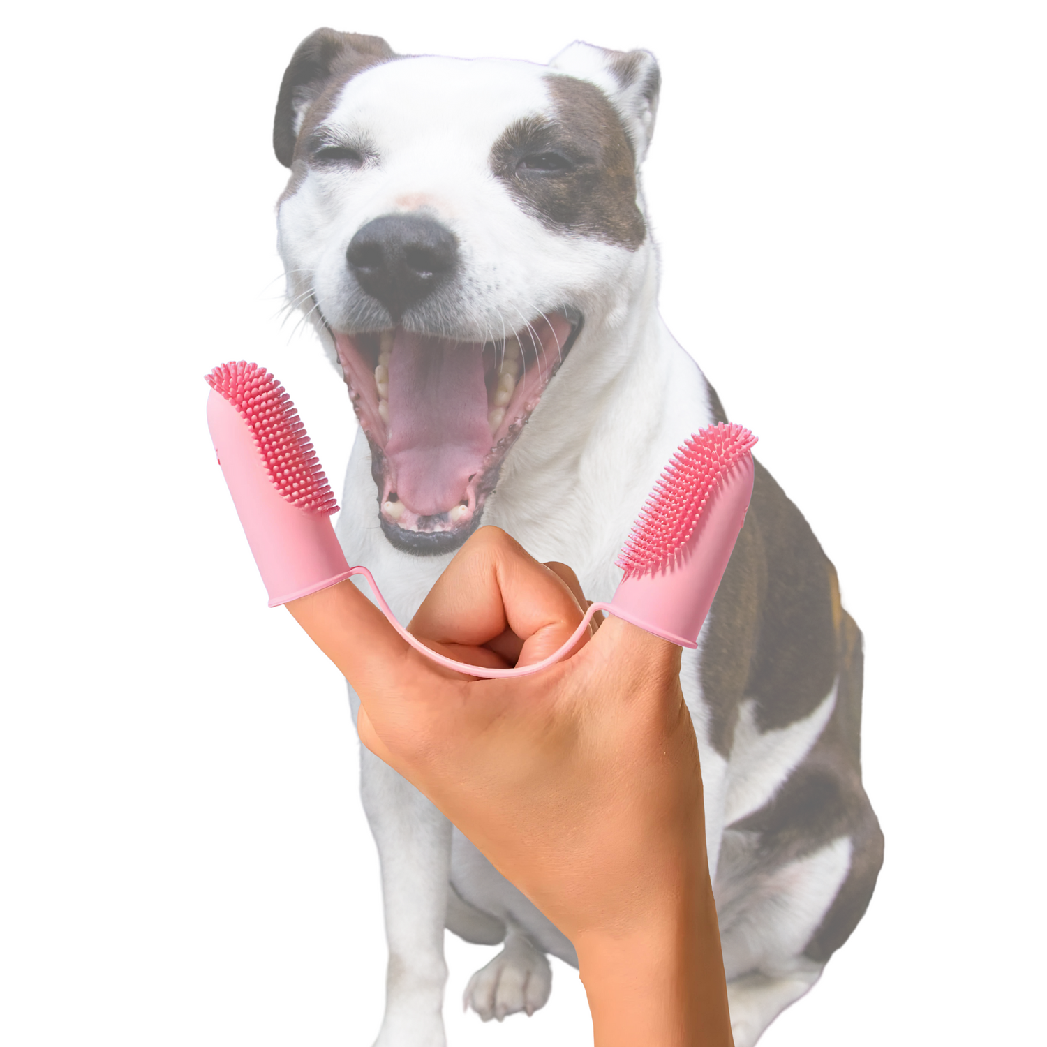 Super Soft Dog Toothbrush