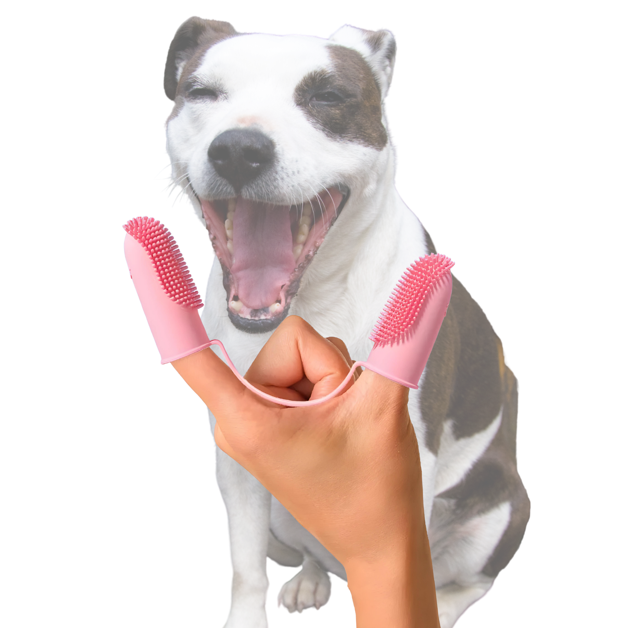 Super Soft Dog Toothbrush