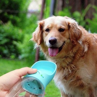 Portable Dog Water Bottle